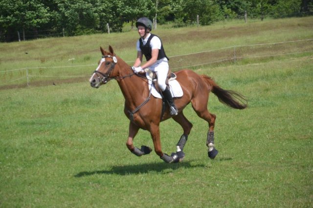 reitertag 2013 277